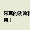 采耳的功效和作用中医简介（采耳的功效和作用）