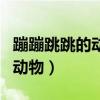 蹦蹦跳跳的动物是什么动物生肖（蹦蹦跳跳的动物）