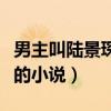 男主叫陆景琛的小说女主沈宁（男主叫陆景琛的小说）