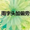 雨字头加偏旁组成新字（头加偏旁组成新字）