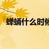 蝉蛹什么时候爬出土（蝉蛹什么时候出来）