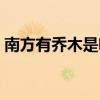 南方有乔木是啥意思（南方有乔木什么意思）