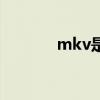 mkv是啥（mkv是什么意思）
