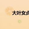 大叶女贞15公分价格（大叶女贞）