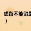想留不能留是什么歌曲（想留不能留的是离歌）