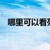 哪里可以看死神来了4（哪里可以看死神）