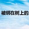 被绑在树上的人简笔画（遭抢被绑树上冻死）