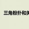 三角粉扑和美妆蛋（三角粉扑多久洗一次）