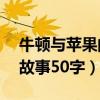 牛顿与苹果的故事50字概括（牛顿与苹果的故事50字）