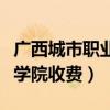 广西城市职业学院学费多少钱（广西城市职业学院收费）