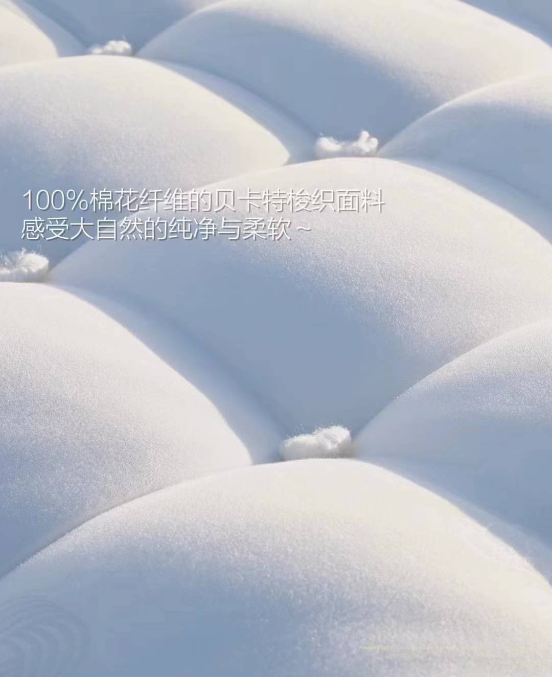 微信图片_20231206165256.jpg