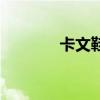 卡文鞋子是几线品牌（卡文）