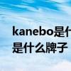 kanebo是什么牌子价格金属女包（kanebo是什么牌子）
