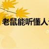 老鼠能听懂人话吗（老鼠会爬到床上咬人吗）