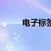 电子标签是什么东西（电子标签）