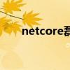 netcore磊科无线路由器（netcore）