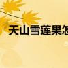 天山雪莲果怎么吃好（天山雪莲果怎么吃）