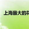 上海最大的花店叫什么（上海最大的花店）