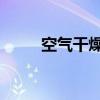 空气干燥机 吸附式（空气干燥机）