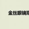 金丝眼镜斯文败类男图片（金丝眼镜）