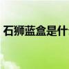 石狮蓝盒是什么烟（蓝色石狮烟多少钱一包）