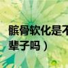 髌骨软化是不是告别运动了（髌骨软化会疼一辈子吗）