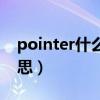 pointer什么意思中文翻译（pointer什么意思）