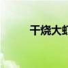 干烧大虾的家常做法（干烧大虾）