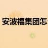 安波福集团怎么样（安波福公司待遇怎么样）