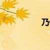 乃佛与李小龙（乃佛）
