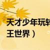 天才少年玩转网王世界网王（天才少年玩转网王世界）