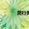 爬行类动物有哪些（爬行类）