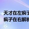 天才在左疯子在右解析梦的真实性（天才在左疯子在右解析）