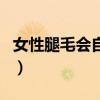 女性腿毛会自己掉吗（女生腿毛会自己脱落吗）