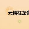 元精柱龙膏药店有售吗（元精柱龙膏）