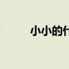 小小的什么填空词（小小的什么）
