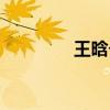 王晗个人资料（王晗简历）