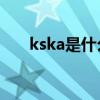 kska是什么品牌(kwas是什么牌子) kska是什么品牌(kwas是什么牌子)