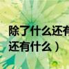 除了什么还有什么写一句话一年级（除了什么还有什么）