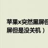苹果x突然黑屏但没有关机过一段时间又亮了（iphonex黑屏但是没关机）