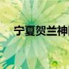 宁夏贺兰神国际酒庄（贺兰神国际酒庄）