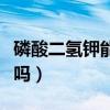 磷酸二氢钾能杀菌吗（磷酸二氢钾能缓解药害吗）