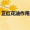 正红花油作用原理（正红花油与红花油区别）