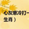 心灰意冷打一生肖是什么动物（心灰意冷打一生肖）