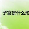 子宫是什么形状的?（子宫是什么样子图片）