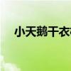 小天鹅干衣机使用方法（小天鹅干衣机）