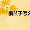 覆盆子怎么吃治尿频（覆盆子怎么吃）