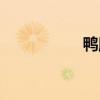 鸭脚煲图片（鸭脚煲）