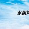 水葫芦花怎么养（水葫芦花）