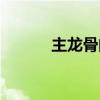 主龙骨间距规范要求（主龙骨）